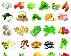 興和蔬菜配送 佛山食堂廚房的優質供應商