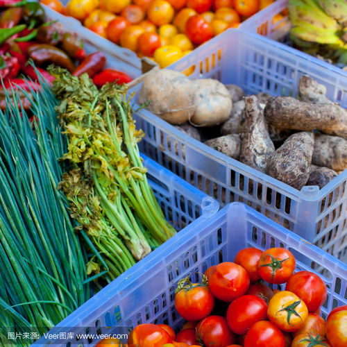新鮮蔬菜零售 市場中的健康與商機