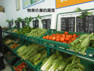 重慶生態(tài)農(nóng)業(yè)基地新鮮蔬菜批發(fā)與配送指南——以農(nóng)龍生態(tài)農(nóng)業(yè)為例