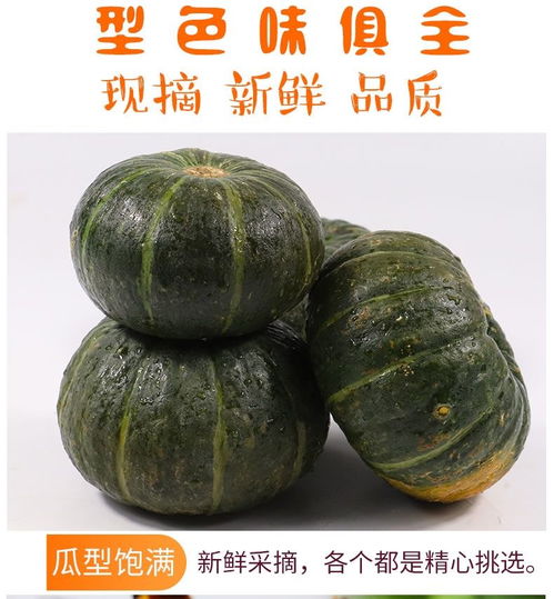黃金小南瓜 從田間到餐桌的營(yíng)養(yǎng)美味之旅