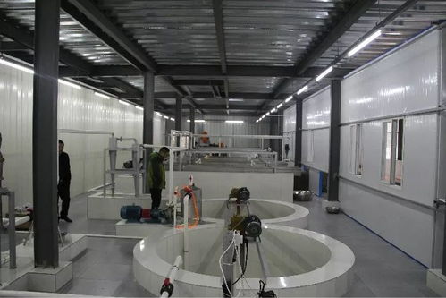 投資200多萬，竹溪首家藕粉加工廠帶動脫貧致富